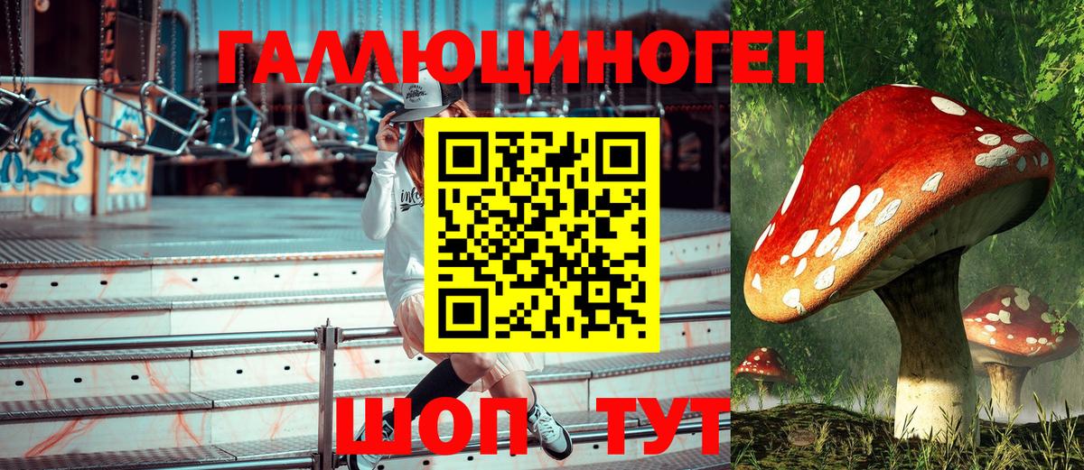 Псилоцибиновые грибы прущие грибы  Вход с VPN  Воронеж 