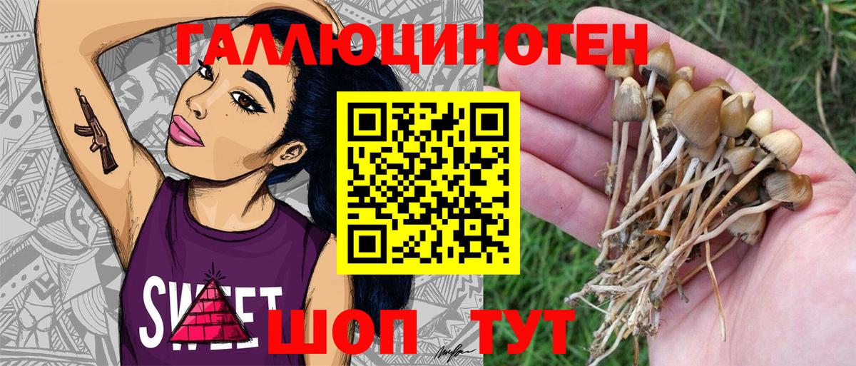 Псилоцибиновые грибы MAGIC MUSHROOMS Воронеж